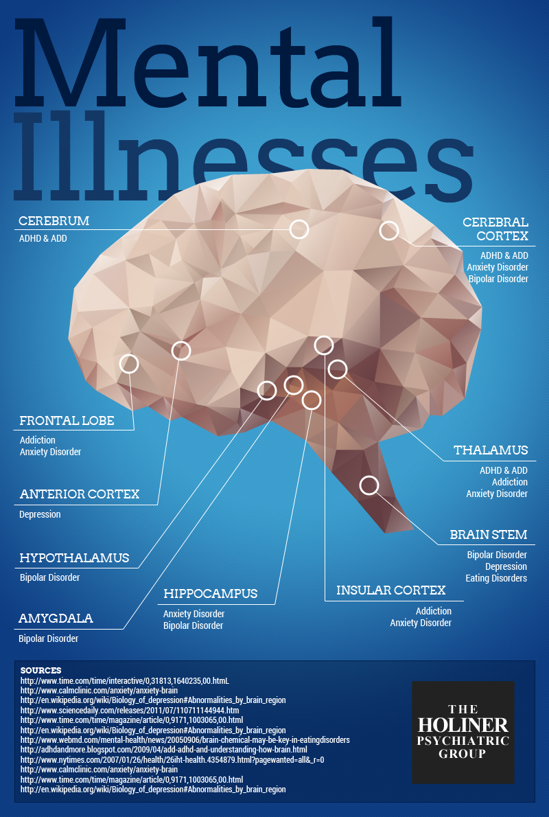 Where Does Mental Illness Occur In Your Brain Holiner Psychiatric Group